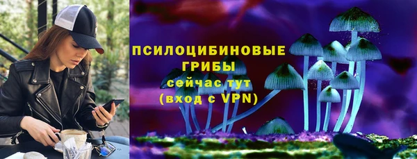 синтетический гашиш Богородицк